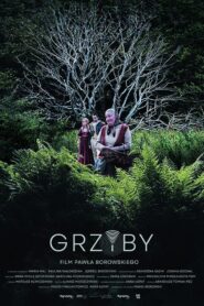 Grzyby Cały Film – Online – Gdzie Oglądać?