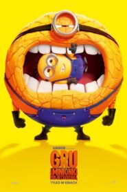 Gru i Minionki: Pod przykrywką Cały Film – Online – Gdzie Oglądać?