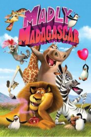 Zakochany Madagaskar Cały Film – Online – Gdzie Oglądać?