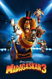 Madagaskar 3 Cały Film – Online – Gdzie Oglądać?