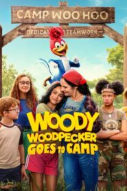 Dzięciołek Woody jedzie na obóz Cały Film – Online – Gdzie Oglądać?