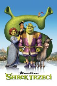 Shrek Trzeci Cały Film – Online – Gdzie Oglądać?