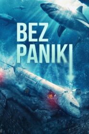 Bez paniki Cały Film – Online – Gdzie Oglądać?