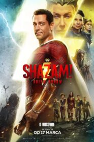 Shazam! Gniew bogów Cały Film – Online – Gdzie Oglądać?