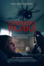 Gniazdo pająka Cały Film – Online – Gdzie Oglądać?