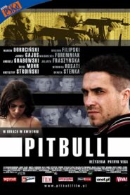 Pitbull Cały Film – Online – Gdzie Oglądać?