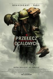 Przełęcz ocalonych Cały Film – Online – Gdzie Oglądać?