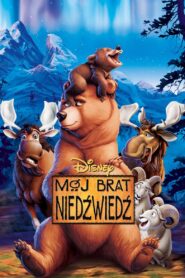 Mój brat niedźwiedź Cały Film – Online – Gdzie Oglądać?