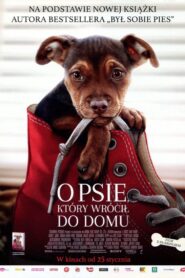 O psie, który wrócił do domu Cały Film – Online – Gdzie Oglądać?