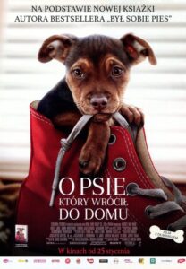 O psie, który wrócił do domu Cały Film – Online – Gdzie Oglądać?