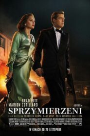 Sprzymierzeni Cały Film – Online – Gdzie Oglądać?