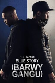 Barwy gangu Cały Film – Online – Gdzie Oglądać?