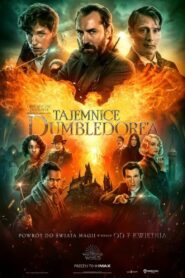 Fantastyczne zwierzęta: Tajemnice Dumbledore’a Cały Film – Online – Gdzie Oglądać?