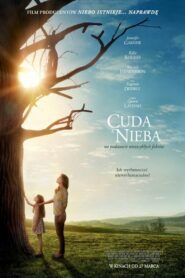 Cuda z nieba Cały Film – Online – Gdzie Oglądać?