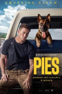 Pies Cały Film – Online – Gdzie Oglądać?